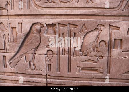 Simboli faraonici e geroglifici al tempio di Kom Ombo Foto Stock