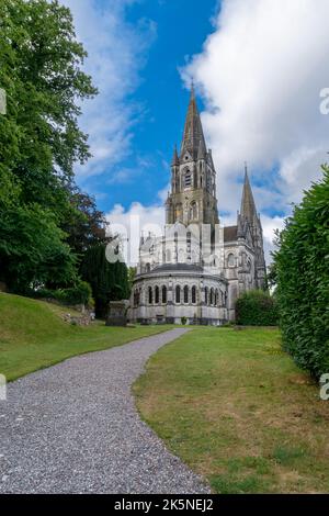 Cork, Irlanda - 16 agosto, 2022: Vista della Cattedrale di Saint fin barre sul fiume Lee nel centro di Cork Foto Stock