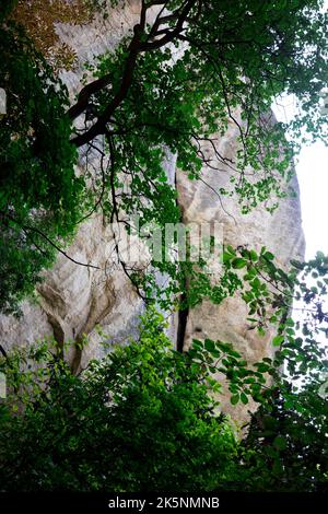 Madara Horseman, un grande rilievo roccioso del primo medioevo scolpito sull'altopiano di Madara ad est di Shumen nella Bulgaria nord-orientale, vicino al villaggio di Madara Foto Stock