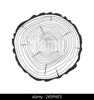 Gli anelli del tronco dell'albero in stile del doodle. Metodo di dendrocronologia per determinare l'età dell'albero. Struttura in legno timbro disegnato a mano isolato su sfondo bianco. Illustrazione grafica vettoriale Illustrazione Vettoriale