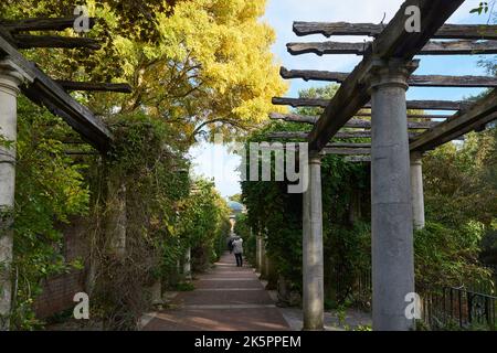 La Pergola in The Hill Garden, Hampstead Heath, North London UK, nel mese di ottobre Foto Stock