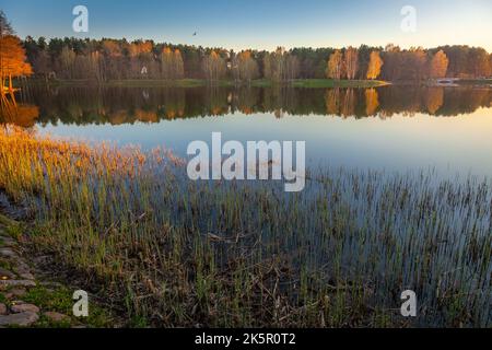 Autumn landscape with yellow and orange trees and lake reflection, Lithuania Foto Stock