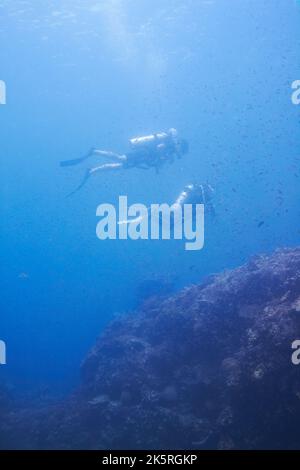Esploratori oceanici. Subacquei che galleggiano attraverso una grande scuola di pesce mentre sopra una barriera corallina - CopySpace. Foto Stock