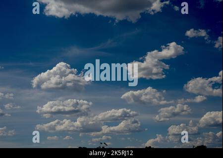 Trovo le nuvole affascinanti - le loro forme e sfumature che cambiano all'infinito rendono sempre interessante il cielo. Le nuvole di Cumulus sono il tipo più comune. Foto Stock