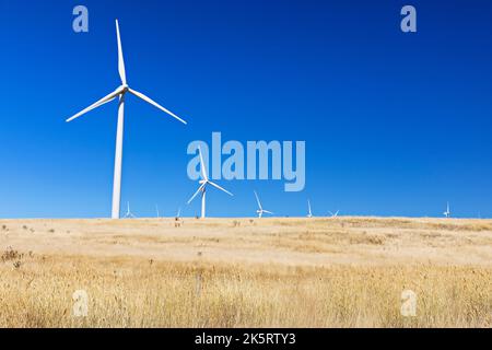 Waubra Wind turbine Farm a Waubra Victoria Australia. Acconia possedeva e gestiva la Fattoria di turbine eoliche a Waubra Victoria Australia.Constaining di 128 tur Foto Stock