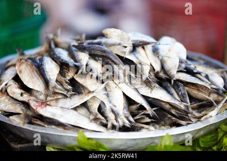 In attesa di vendita. Primo piano di sardine pronte per la vendita in un mercato alimentare tailandese. Foto Stock