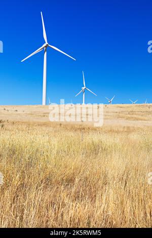 Waubra Wind turbine Farm a Waubra Victoria Australia. Acconia possedeva e gestiva la Fattoria di turbine eoliche a Waubra Victoria Australia.Constaining di 128 tur Foto Stock
