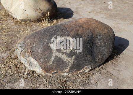 Petroglifi, Giardino delle pietre, sito della torre di Burana, Valle di Chui, Regione di Chui, Kirghizistan, Asia centrale Foto Stock