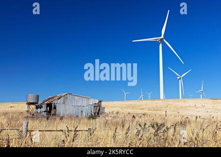 Waubra Wind turbine Farm a Waubra Victoria Australia. Acconia possedeva e gestiva la Fattoria di turbine eoliche a Waubra Victoria Australia.Constaining di 128 tur Foto Stock