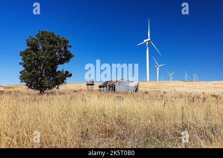 Waubra Wind turbine Farm a Waubra Victoria Australia. Acconia possedeva e gestiva la Fattoria di turbine eoliche a Waubra Victoria Australia.Constaining di 128 tur Foto Stock