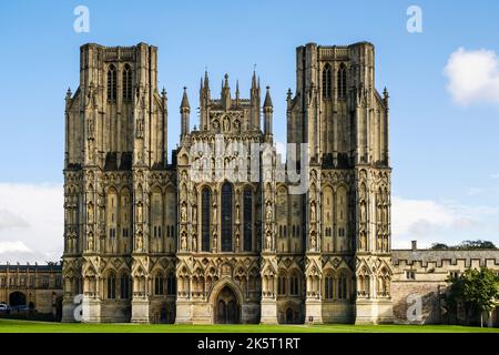 Wells Cathedral di fronte ad ovest. Cathedral Green, Wells, Mendip, Somerset, Inghilterra, Regno Unito, Gran Bretagna Foto Stock