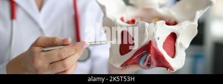 Dottore traumatologo dimostrando ossa di pelvi agli studenti in closeup clinica Foto Stock