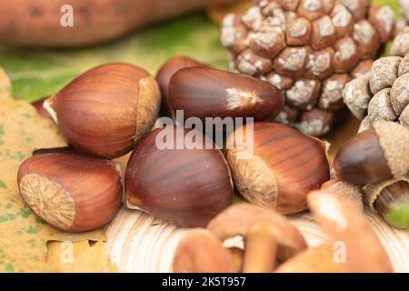 Primo piano macro di un mucchio di castagne Foto Stock