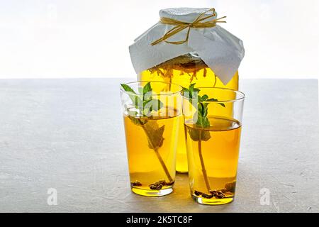 Un vaso di kombucha e due bicchieri di vetro di kombucha sono decorati con menta su un tavolo di cemento grigio chiaro Foto Stock