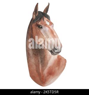 acquerello immagine realistica ritratto di cavallo baia isolato su sfondo bianco Foto Stock