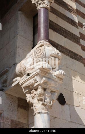 Cattedrale di Verona, vista di un leone scolpito del 12th ° secolo che sormonta un pilastro di marmo alla porta sud del Duomo nel centro storico di Verona, Foto Stock