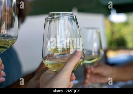 Un gruppo di amici che festeggiano e festeggiano con il prosecco. Foto Stock