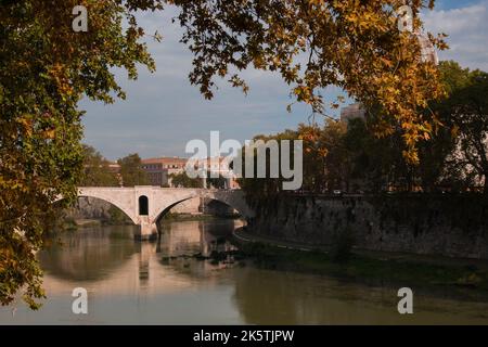 Autunno a Roma: Fogliame e fiume Tevere durante la giornata di sole di ottobre, Lazio Italia Foto Stock