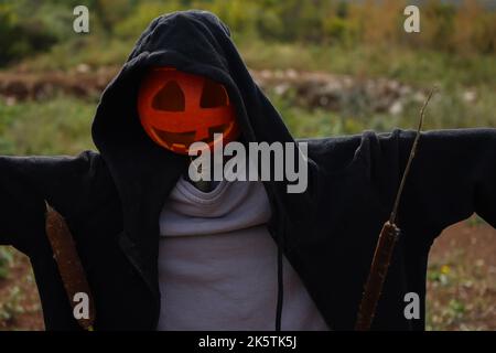 Decorazione di Halloween dello Scarecrow con lanterna di zucca sulla testa nel campo. Foto Stock
