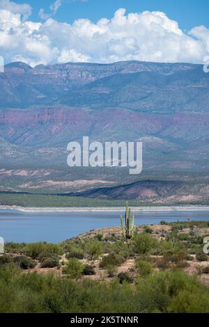 Si affaccia su una valle nella Tonto National Forest, Arizona Foto Stock