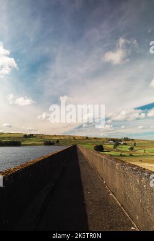 Una passeggiata nel bacino idrico circondata da campi di vegetazione e acqua Foto Stock