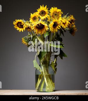 un bouquet di girasoli in vaso di vetro su sfondo neutro Foto Stock