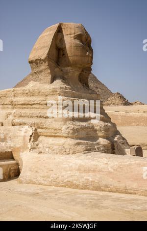 la grande sfinge di giza una scultura calcarea di 4500 anni sull'altopiano di giza sulla riva occidentale del nilo in egitto Foto Stock