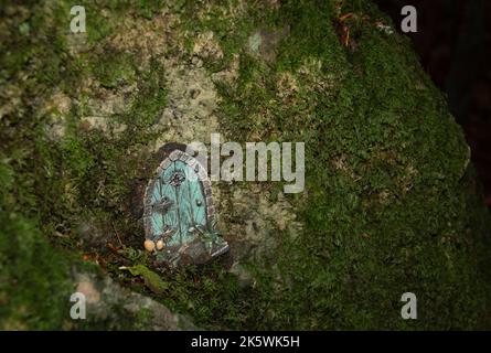 Case delle fate in un bosco scuro. Foto Stock