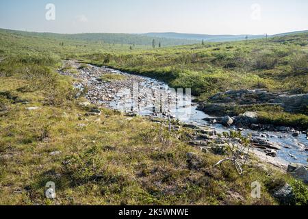 Un piccolo torrente roccioso che scorre attraverso un paesaggio estivo di upload nel Parco Nazionale di Urho Kekkonen, Finlandia settentrionale. Foto Stock