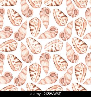 Modello seashells senza cuciture. Illustrazione vintage acquerello. Isolato su sfondo bianco. Per il design di tessuti, abiti, cancelleria, accessori Foto Stock