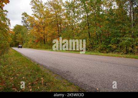 Autunno foresta, strada e auto in movimento in una giornata di sole. Foto Stock