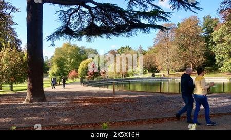 Ipswich, Suffolk, UK - 10 ottobre 2022 : luminoso pomeriggio autunnale in città. Colori autunnali e persone a piedi nel Christchurch Park. Foto Stock