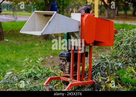 Utilizzando una macchina spacchettatrice portatile, i trucioli di legno possono essere ridotti dai rami dell'albero Foto Stock