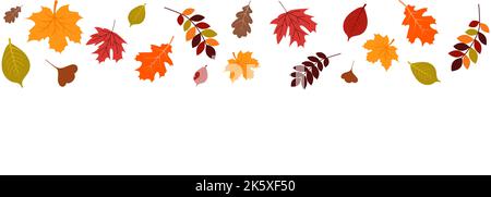 Autunno caduta foglie isolate su sfondo bianco. Illustrazione Vettoriale