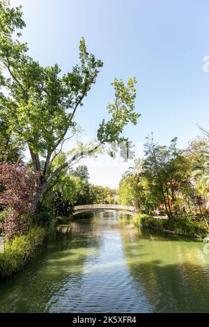 Parco cittadino di Aveiro, durante una giornata di sole Foto Stock