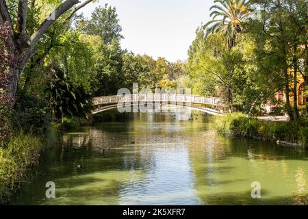 Parco cittadino di Aveiro, durante una giornata di sole Foto Stock
