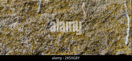 Old Weathered Natural Stone Texture Antica parete grungy - arenaria superficie sfondo Texture di granito naturale roccia, struttura magmatica con quart Foto Stock
