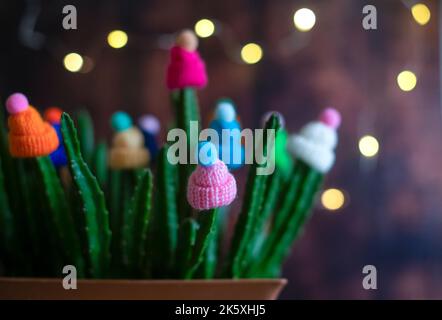 Cappelli decorativi in lana multicolore con pomposi sono indossati sui gambi di un cactus vivo in una pentola a casa. Divertente e creativo. Concetto invernale. Foto Stock