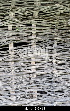 Recinzione fatta di rami di albero tavole, primo piano di tronco di albero nella foresta, scherma wattle fai da te, rami sottili tessuti tra stecche verticali, eco-friendly fenc Foto Stock