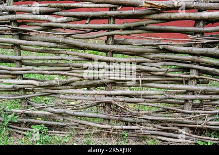 Recinzione fatta di rami di albero tavole, primo piano di tronco di albero nella foresta, scherma wattle fai da te, rami sottili tessuti tra stecche verticali, eco-friendly fenc Foto Stock