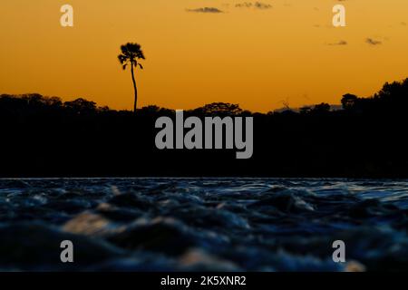 Le rapide del fiume Zambesi sono illuminate dalla luce del tramonto. Victoria National Park, Zambia, Africa Foto Stock