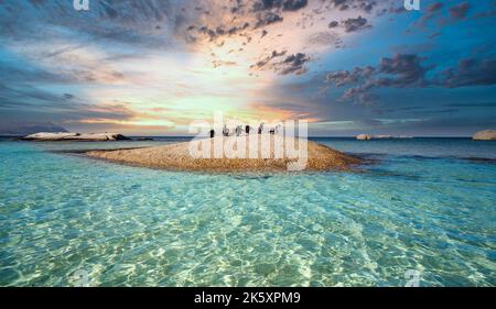 Mid shot - questi pinguini del capo sono stati catturati a Sea Forth, vicino alla spiaggia di Boulders sulla False Bay... Foto Stock