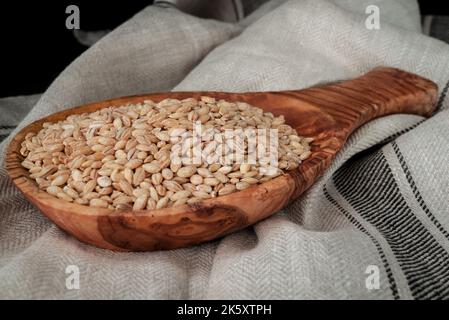 cibo di semi secchi su un cucchiaio di legno Foto Stock