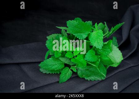 Menta. Mazzo di balsamo fresco verde biologico al limone sul primo piano di legno Foto Stock