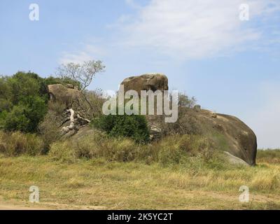 Kopje (Gruppo Rock individuale) nel Parco Nazionale del Serengeti, Tanzania, Africa Orientale Foto Stock