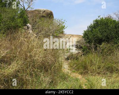 Kopje (Gruppo Rock individuale) nel Parco Nazionale del Serengeti, Tanzania, Africa Orientale Foto Stock