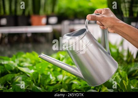 Mano che tiene innaffiatura può in fondo naturale in giardino. Uomo acqua orto con annaffiatoio. Concetto di giardinaggio. Nessuno, sfocato, s Foto Stock