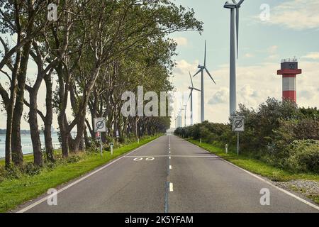 Strada su una stretta terra di riva nel porto di Rotterdam Foto Stock