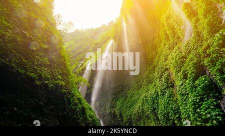 Maestosa vista della cascata di Madakaripura Foto Stock