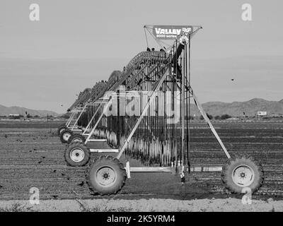 Gli uccelli si riuniscono intorno ad una grande macchina di irrigazione di campo poichè spruzza l'acqua in un campo arido, presto essere maturo con cotone Foto Stock